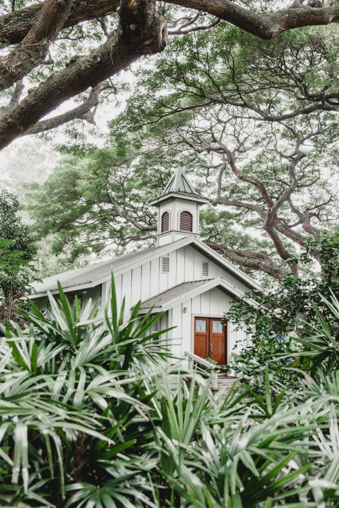 Georgia De Lotz SAWrP9LuMPk Unsplash 683x1024