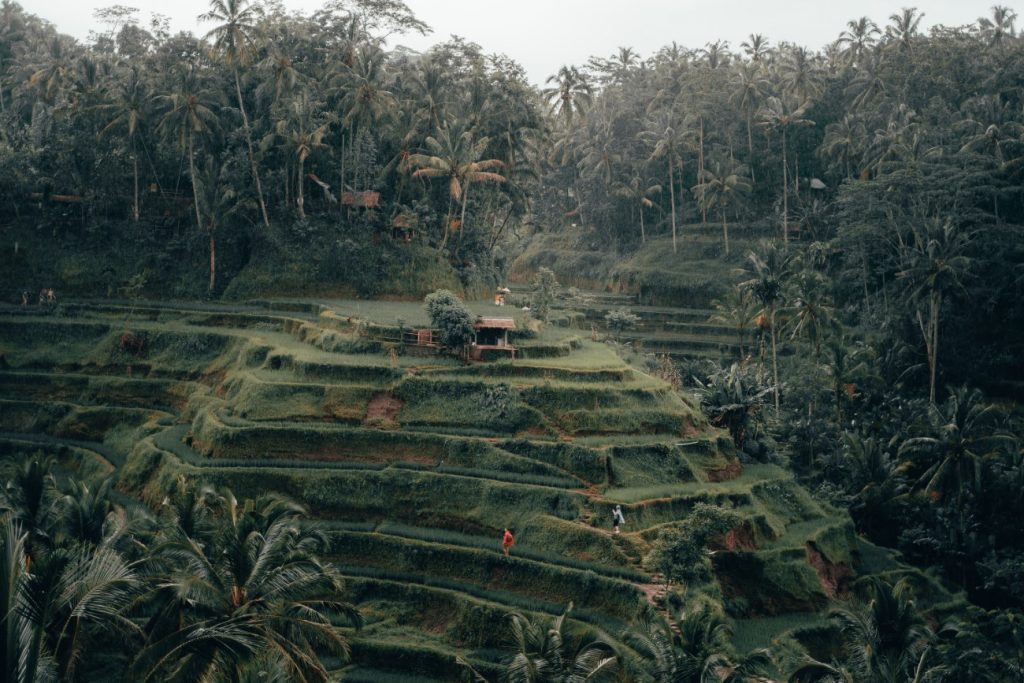 Protect Nature and it will protect you back Lifestyle and Travel